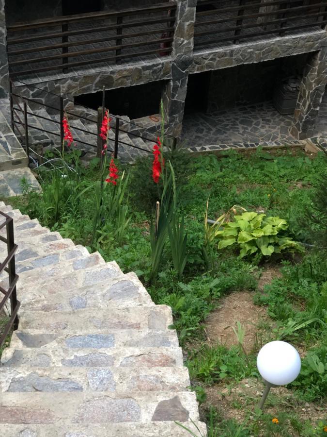 Cabana Zimbru Transfagarasan Arefu Bagian luar foto