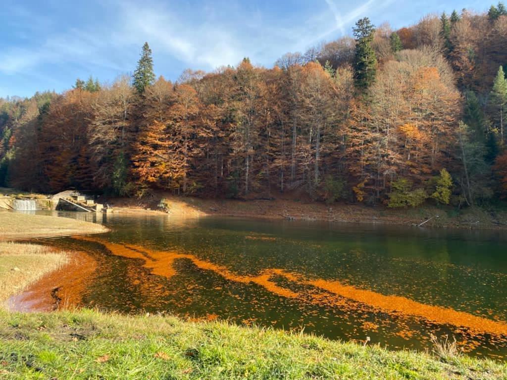 Cabana Zimbru Transfagarasan Arefu Bagian luar foto